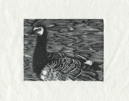 Goose engraving